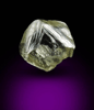 Diamond (0.22 carat greenish-yellow flattened dodecahedral crystal) from Argyle Mine, Kimberley, Western Australia, Australia