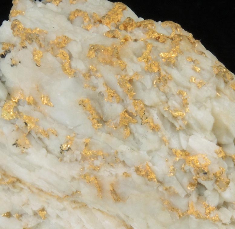 Gold in Quartz from El Dorado Creek, Mariposa County, California