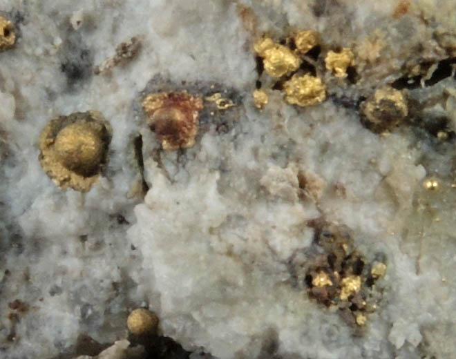 Gold (spherical formations caused by roasting the ore) on Quartz from Cripple Creek District, Teller County, Colorado