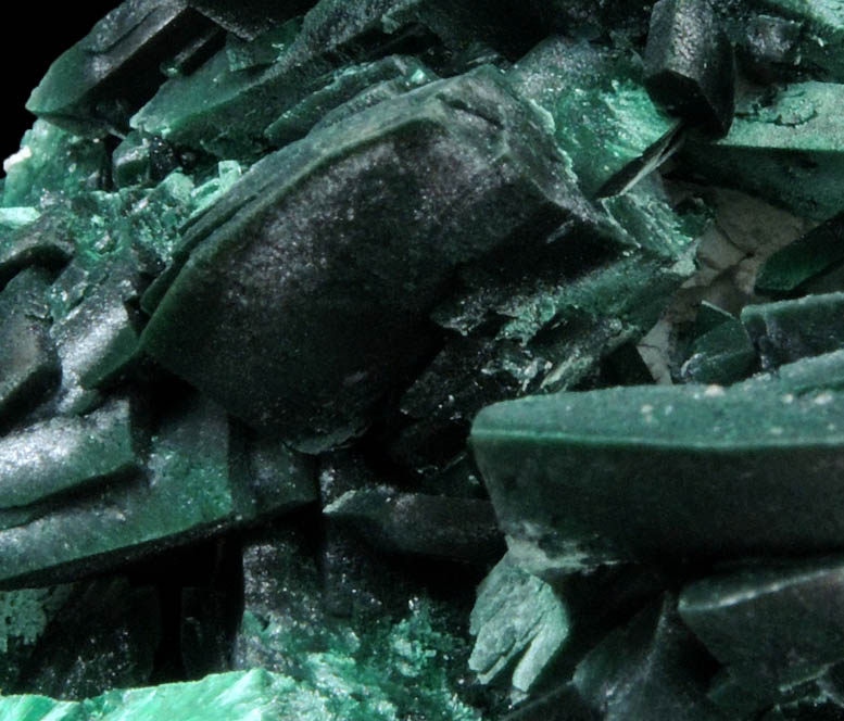 Malachite pseudomorphs after Azurite from Milpillas Mine, Cuitaca, Sonora, Mexico