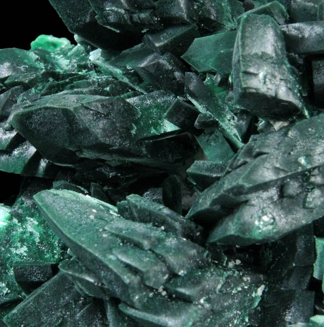 Malachite pseudomorphs after Azurite from Milpillas Mine, Cuitaca, Sonora, Mexico