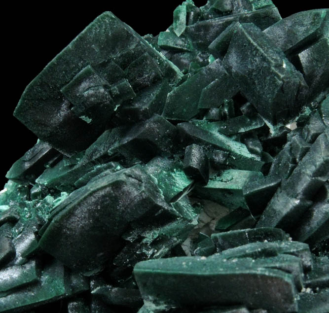 Malachite pseudomorphs after Azurite from Milpillas Mine, Cuitaca, Sonora, Mexico