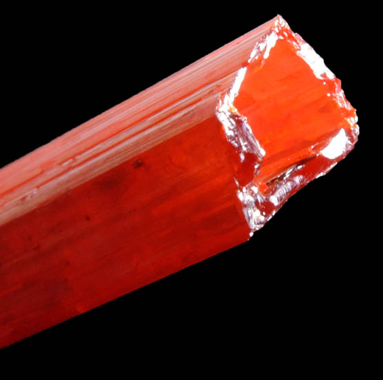 Crocoite (hollow crystal) from Adelaide Mine, Dundas, Tasmania, Australia