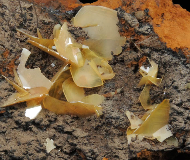 Wulfenite from Defiance Mine, Courtland-Gleeson District, Cochise County, Arizona