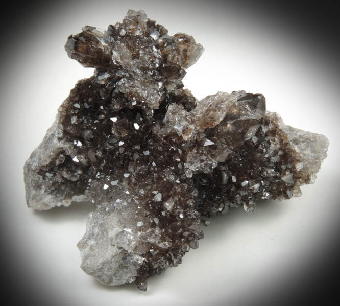 Quartz var. Drusy Herkimer Diamonds from Ace of Diamonds Mine, Middleville, Herkimer County, New York