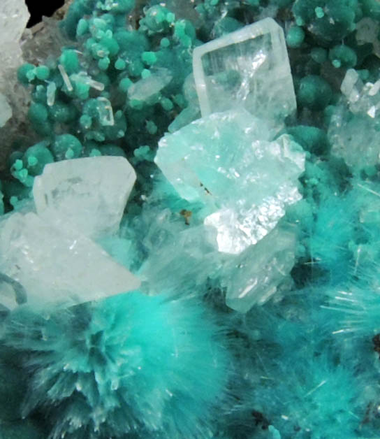 Aurichalcite with Hemimorphite from 79 Mine, Banner District, near Hayden, Gila County, Arizona