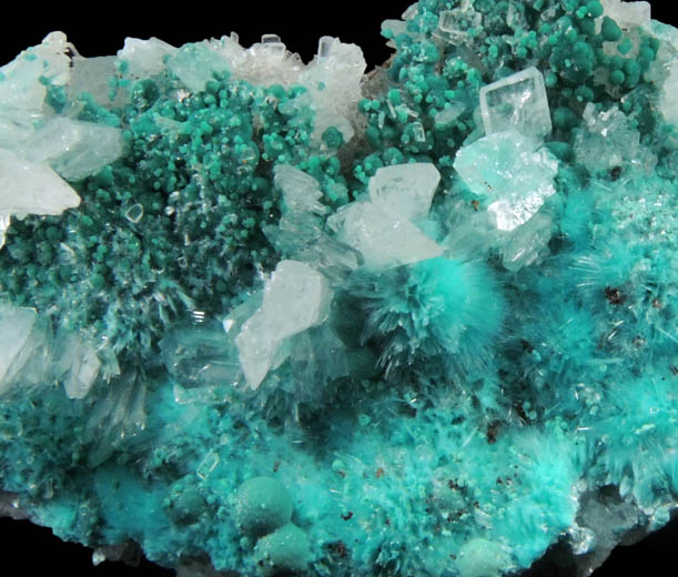 Aurichalcite with Hemimorphite from 79 Mine, Banner District, near Hayden, Gila County, Arizona