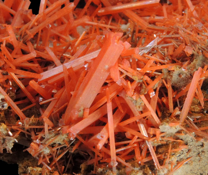 Crocoite from Red River Pocket, Adelaide Mine, Dundas, Tasmania, Australia