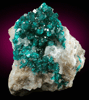 Dioptase with Calcite from Tsumeb Mine, Otavi-Bergland District, Oshikoto, Namibia