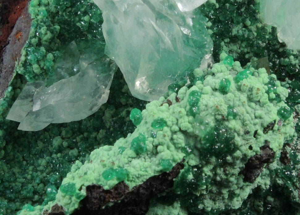 Calcite, Conichalcite, Adamite var. Cuproadamite from Mina Ojuela, Mapimi, Durango, Mexico