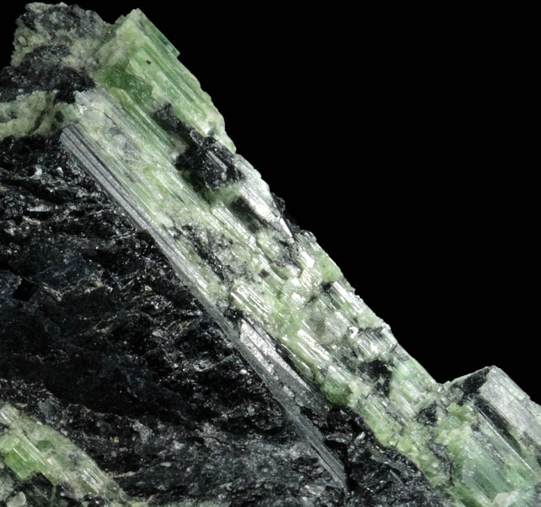 Elbaite Tourmaline with Schorl from Berry Quarry, Poland, Androscoggin County, Maine