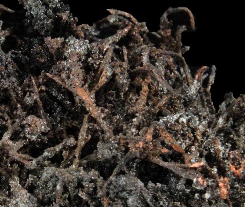 Copper (wire crystals) from Tsumeb Mine, Otavi-Bergland District, Oshikoto, Namibia