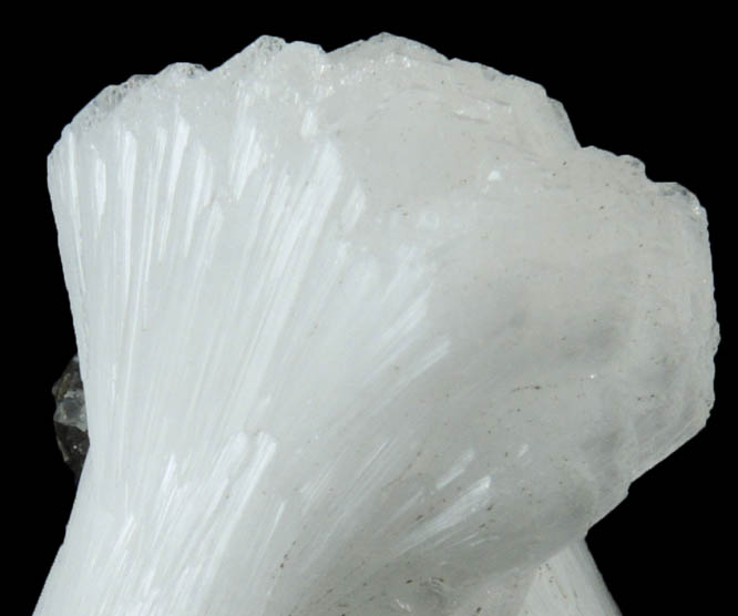 Stilbite from Braen's Quarry, Haledon, Passaic County, New Jersey