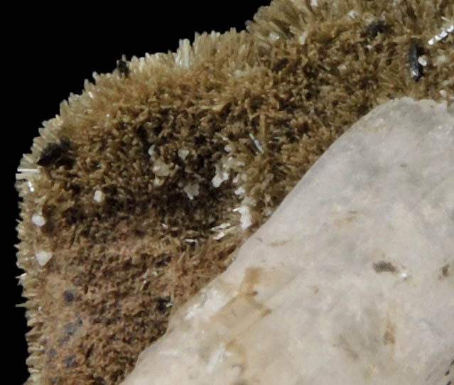 Quartz on Johannsenite with Manganbabingtonite from Iron Cap Mine, Aravaipa District, Graham County, Arizona