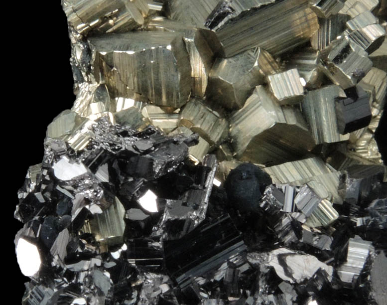 Enargite and Pyrite from Leonard Mine, Butte Mining District, Summit Valley, Silver Bow County, Montana