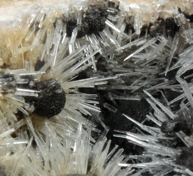 Kutnohorite and Aragonite from Levane, Val D'Arno, Tuscany, Italy