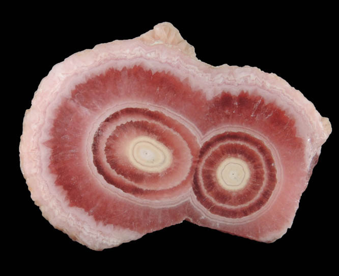 Rhodochrosite stalactite section from Capillitas Mine, Catamarca Province, Argentina