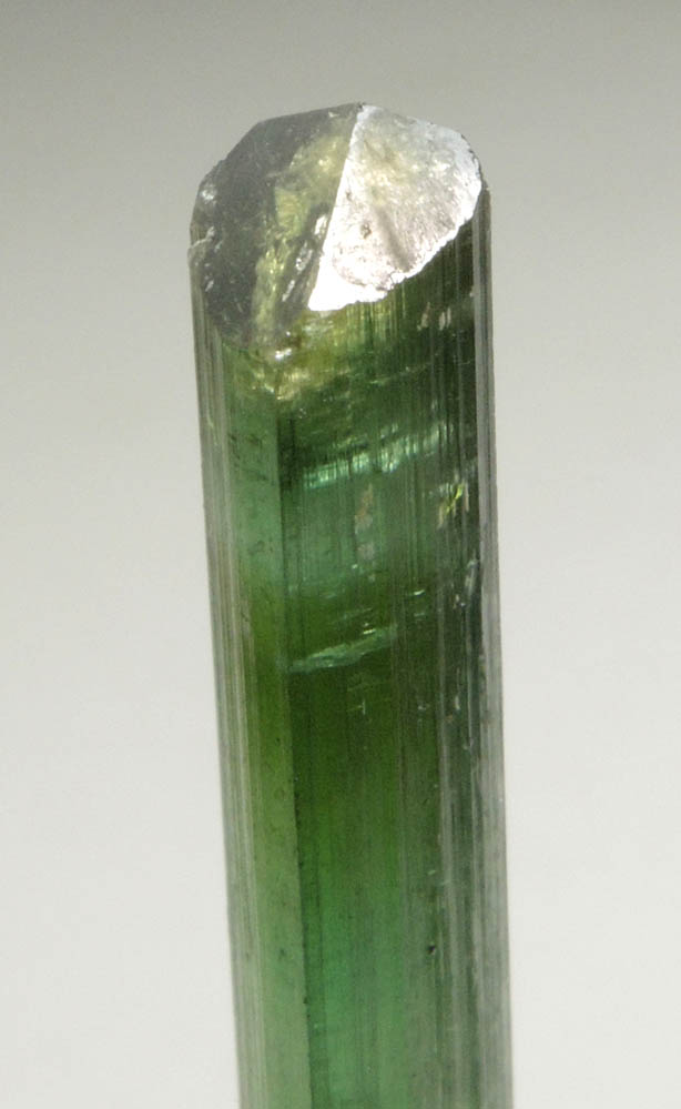 Elbaite Tourmaline from Gillette Quarry, Haddam Neck, Middlesex County, Connecticut