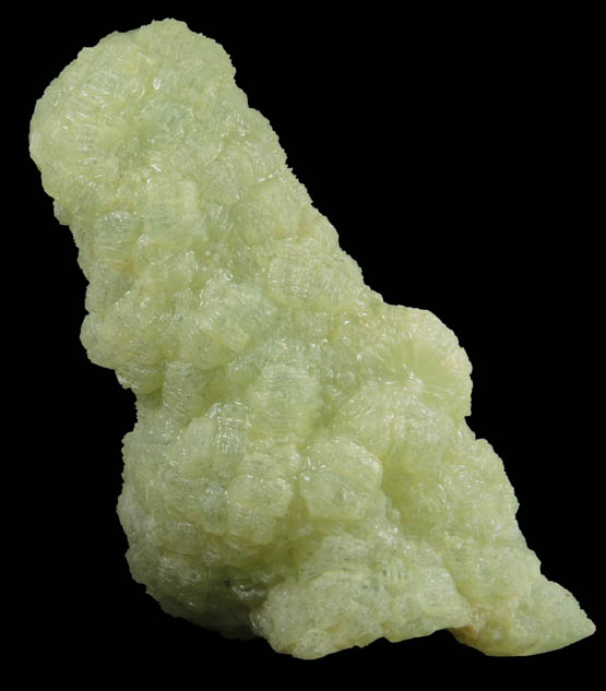 Prehnite pseudomorphs after Anhydrite from Lane's Quarry, Westfield, Hampden County, Massachusetts