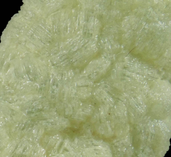 Prehnite pseudomorphs after Anhydrite from Lane's Quarry, Westfield, Hampden County, Massachusetts