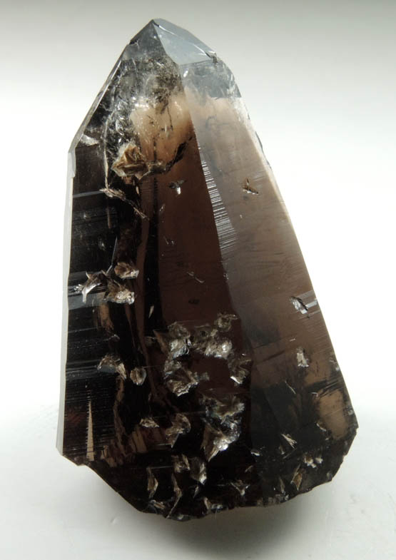 Quartz var. Smoky Quartz (Dauphin Law Twins) from Butte District, Silver Bow County, Montana