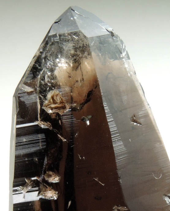 Quartz var. Smoky Quartz (Dauphin Law Twins) from Butte District, Silver Bow County, Montana