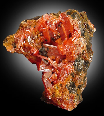 Crocoite from Red Lead Mine, Dundas, Tasmania, Australia