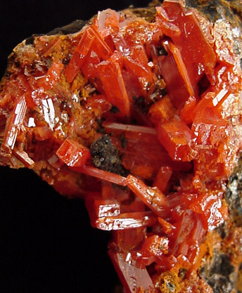 Crocoite from Red Lead Mine, Dundas, Tasmania, Australia