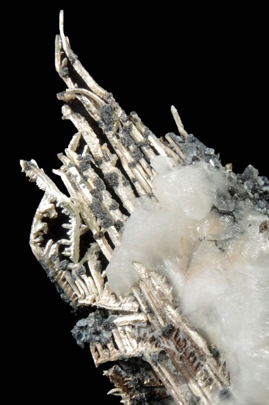 Silver wire crystals in Calcite from Andres del Rio District, Batopilas, Chihuahua, Mexico