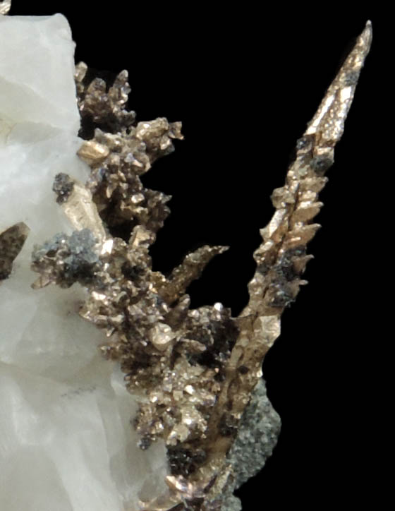Silver wire crystals in Calcite from Andres del Rio District, Batopilas, Chihuahua, Mexico