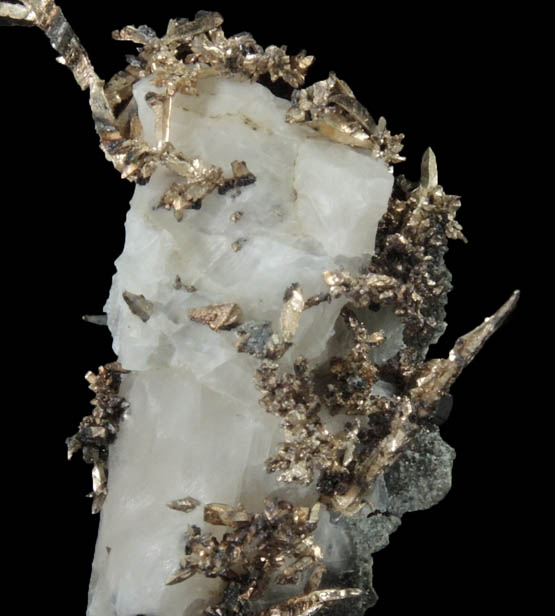 Silver wire crystals in Calcite from Andres del Rio District, Batopilas, Chihuahua, Mexico