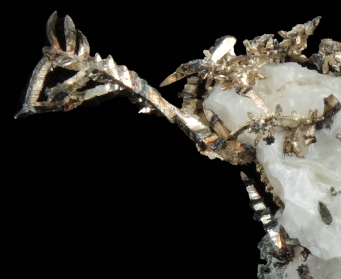 Silver wire crystals in Calcite from Andres del Rio District, Batopilas, Chihuahua, Mexico