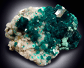 Dioptase from Tsumeb Mine, Otavi-Bergland District, Oshikoto, Namibia