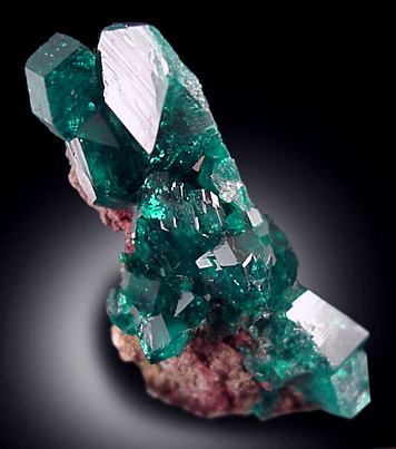 Dioptase from Tsumeb Mine, Otavi-Bergland District, Oshikoto, Namibia