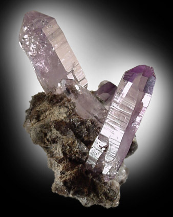 Quartz var. Amethyst from Piedra Parada, near Las Vigas, Tatatila, Veracruz, Mexico