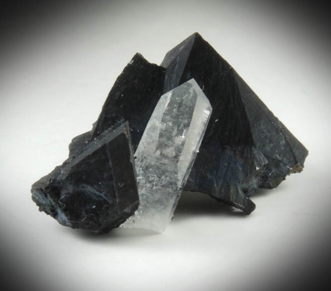 Tetrahedrite with Quartz from Black Pine Mine, Granite County, Montana