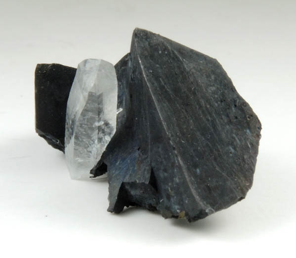 Tetrahedrite with Quartz from Black Pine Mine, Granite County, Montana