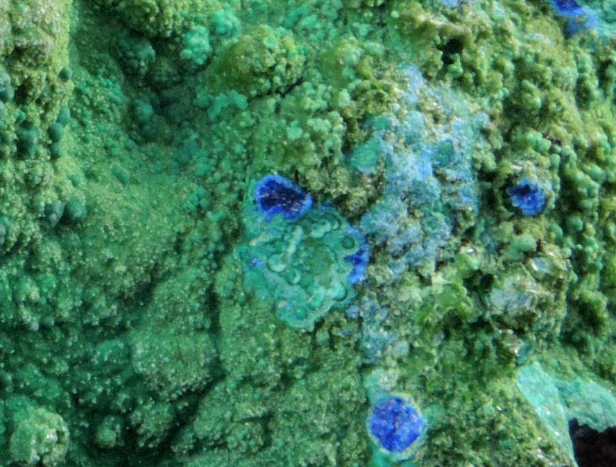 Chrysocolla and Malachite over Azurite from Morenci Mine, Clifton District, Greenlee County, Arizona