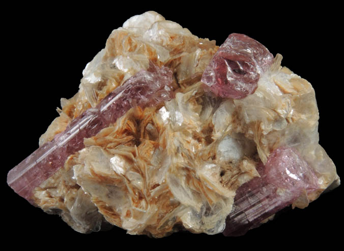 Elbaite var. Rubellite Tourmaline on Muscovite from Minas Gerais, Brazil