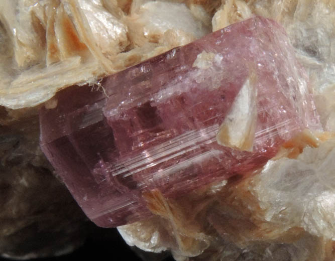 Elbaite var. Rubellite Tourmaline on Muscovite from Minas Gerais, Brazil