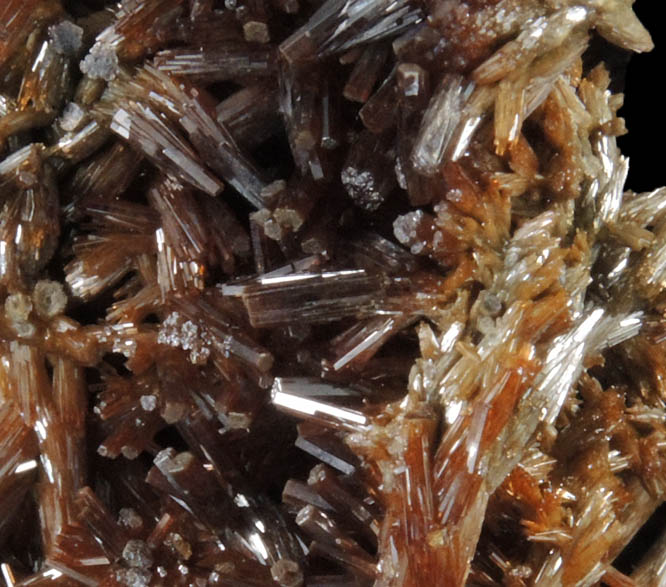 Vanadinite var. Endlichite from Ahumada Mine, Sierra de Los Lamentos, Chihuahua, Mexico