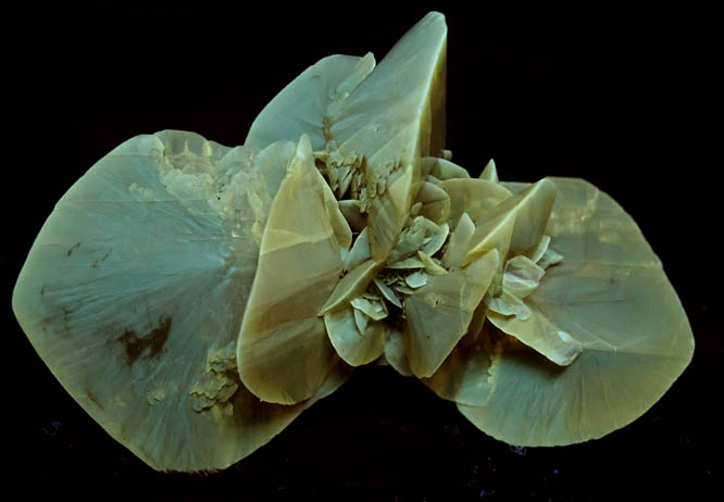 Photo below under shortwave ultraviolet illumination of Gypsum var. Selenite from Salinas de Otuma, Pisco Province, Ica Department, Peru Gypsum var. Selenite from Salinas de Otuma, Pisco Province, Ica Department, Peru