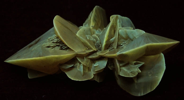 Second Photo below under shortwave ultraviolet illumination of Gypsum var. Selenite from Salinas de Otuma, Pisco Province, Ica Department, Peru Gypsum var. Selenite from Salinas de Otuma, Pisco Province, Ica Department, Peru