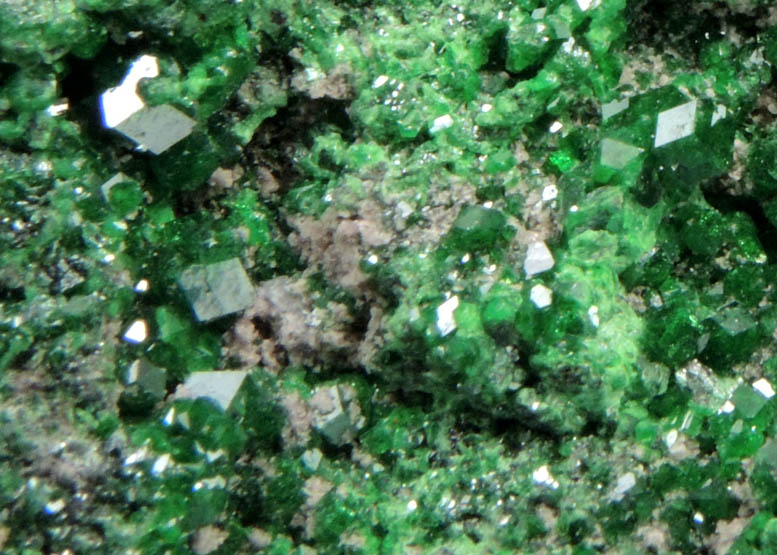 Uvarovite Garnet from Saranovskoye Mine, Sarany, Permskaya Oblast', Ural Mountains, Russia (Type Locality for Uvarovite)