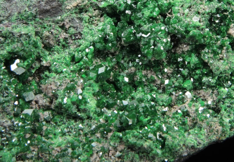 Uvarovite Garnet from Saranovskoye Mine, Sarany, Permskaya Oblast', Ural Mountains, Russia (Type Locality for Uvarovite)