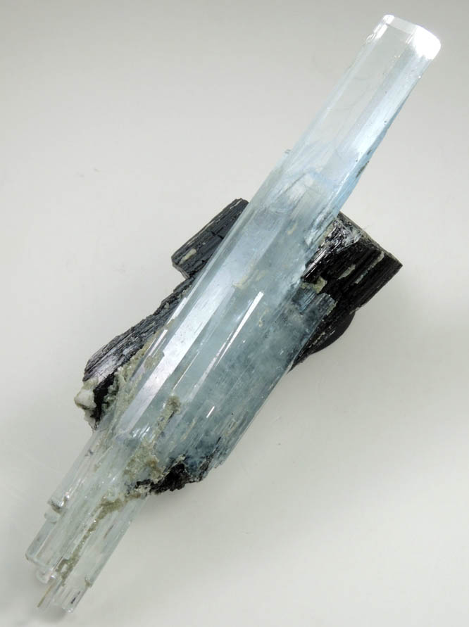 Beryl var. Aquamarine on Schorl Tourmaline from Erongo Mountains, 20 km north of Usakos, Damaraland, Namibia