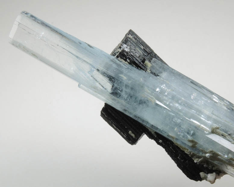 Beryl var. Aquamarine on Schorl Tourmaline from Erongo Mountains, 20 km north of Usakos, Damaraland, Namibia