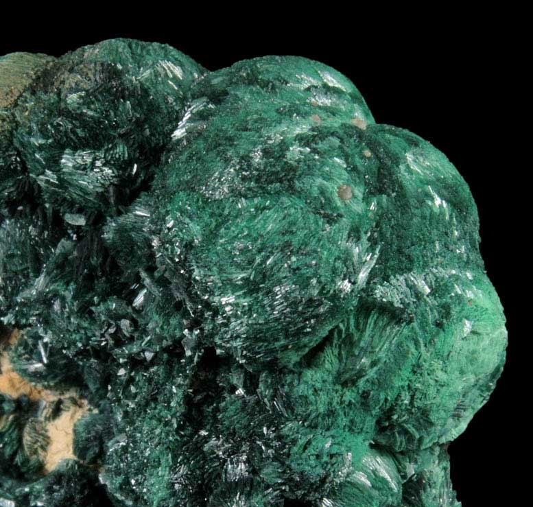 Malachite from Kolwezi Mining District, 240 km WNW of  Lubumbashi, Katanga Copperbelt, Lualaba Province, Democratic Republic of the Congo