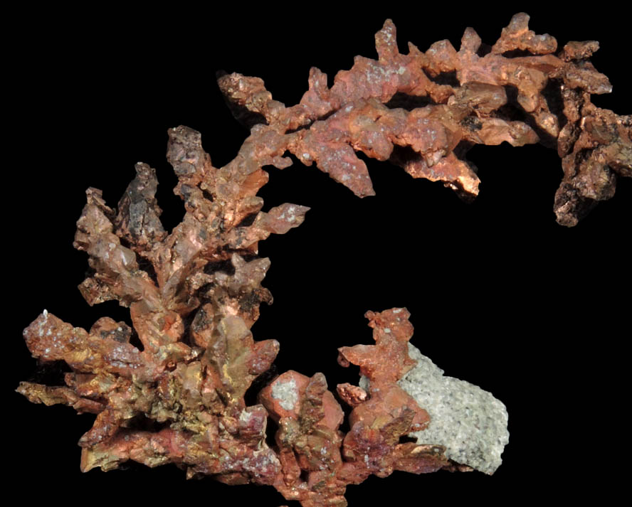 Copper (crystallized) from Itauz Mine, Karaganda Oblast', Kazakhstan