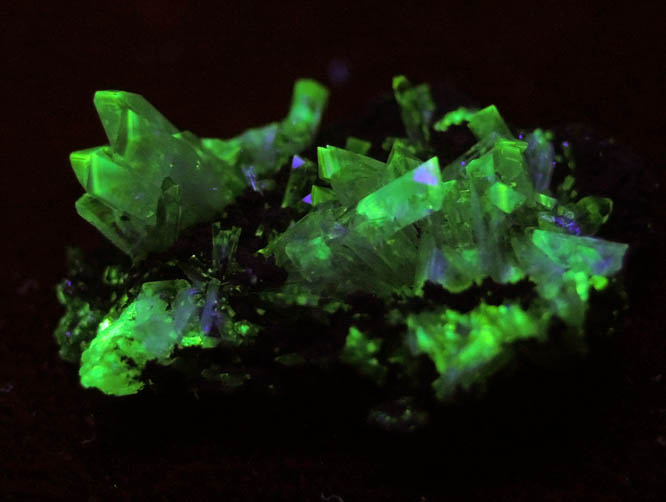 Adamite (purple) from Mina Ojuela, Mapimi, Durango, Mexico